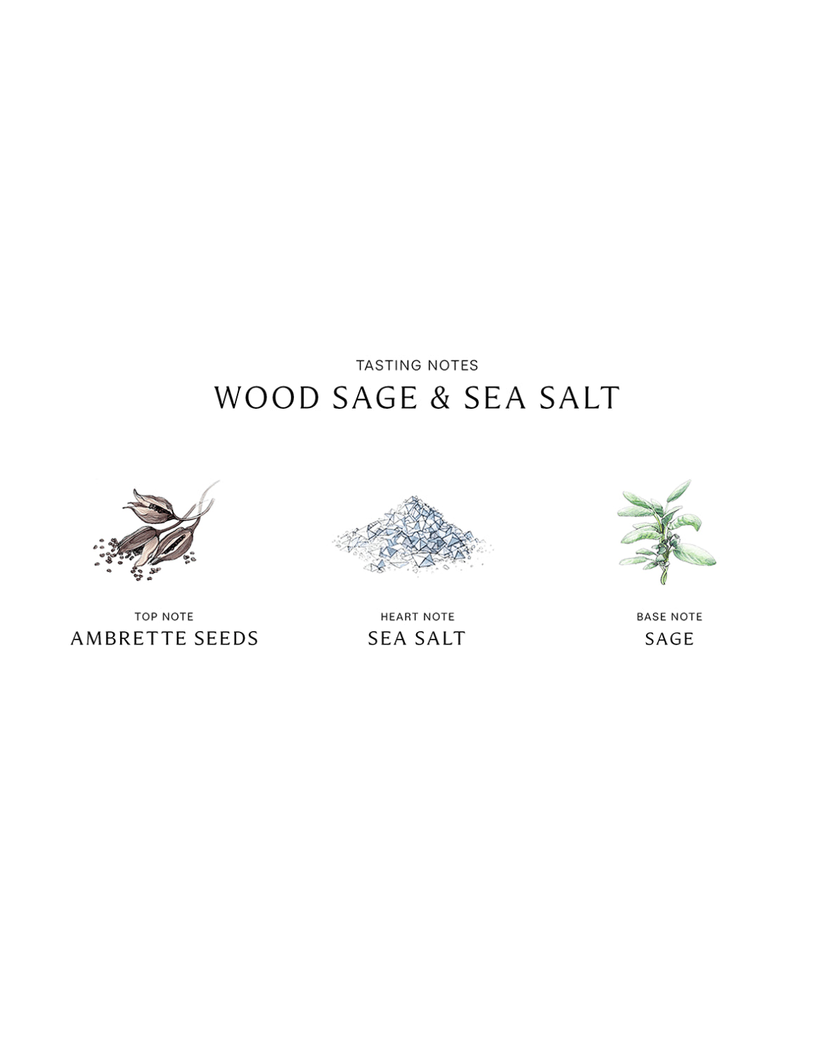 Wood Sage & Sea Salt